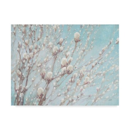 Julia Purinton 'Early Spring Buds' Canvas Art,35x47